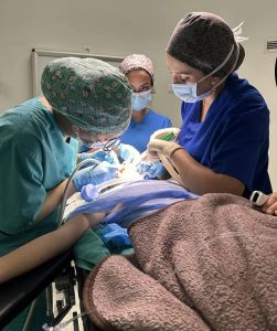 implant et facette dentaire chez Dr Ela Zaidi Sfax