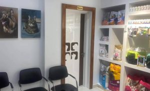 toilettage chats, chiens et oiseaux chez vétérinaire Hiboun Mahdia