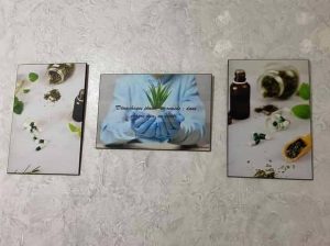 Dr Rim Ben Barka - Phytothérapie et hijama à Manouba