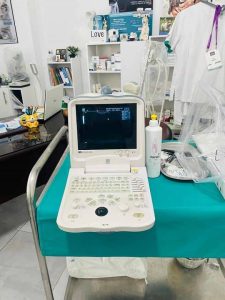 Soins des animux de compagnies à Borj Cedria - Vétérinaire Dr Ines Layali