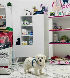 Pension et toilettage des chiens - médecin vétérinaire Dr Ines Layali