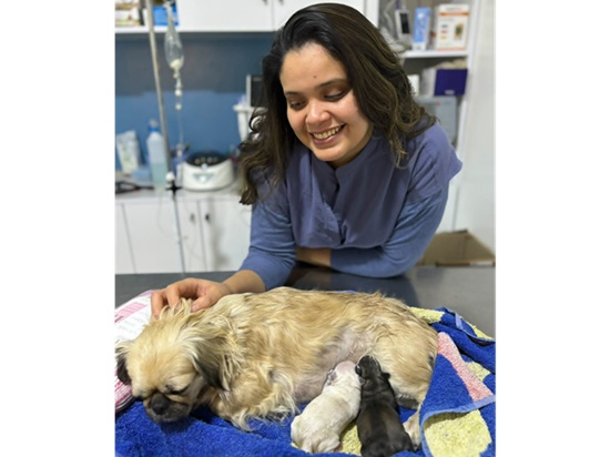 Vétérinaire à Sousse - Dr Dorra Ben Braiek